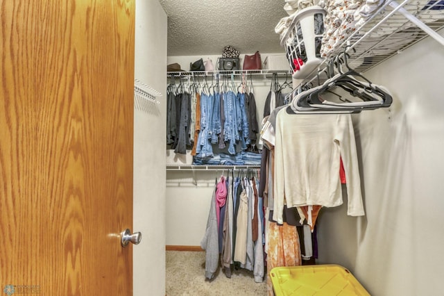 view of spacious closet