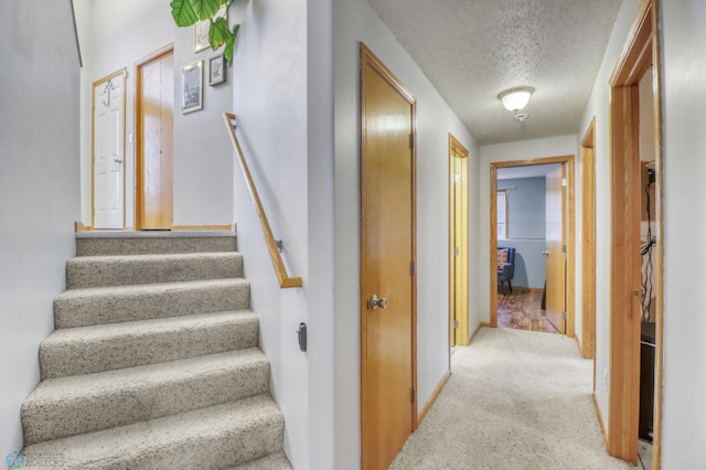 stairs featuring carpet flooring and a textured ceiling