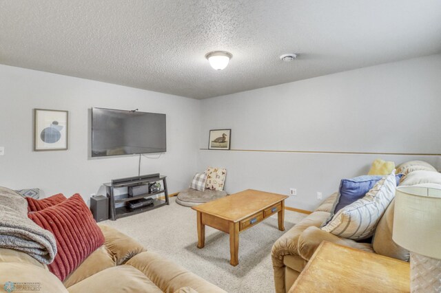 943 39 1/2 Ave W, West Fargo, ND 58078 - photo 33
