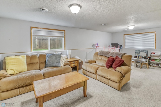 943 39 1/2 Ave W, West Fargo, ND 58078 - photo 34