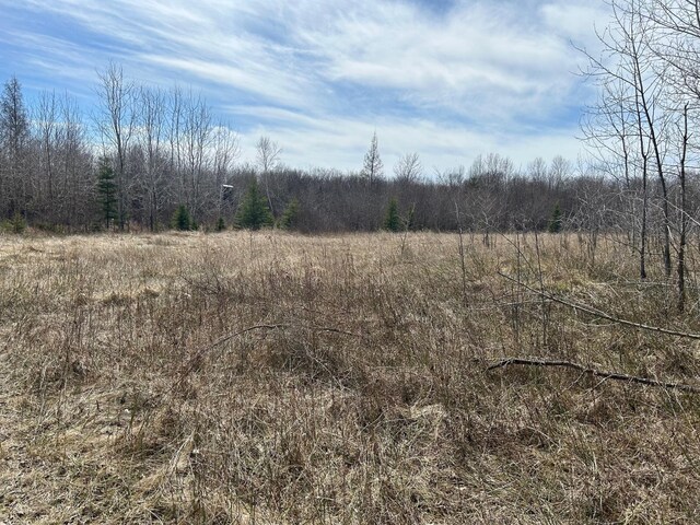 TBD Steel Bridge Rd NE, Waskish, MN 56685 - photo 6