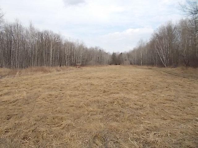 18983 Alabaster Rd, Chengwatana Twp, MN 55063 - photo 50