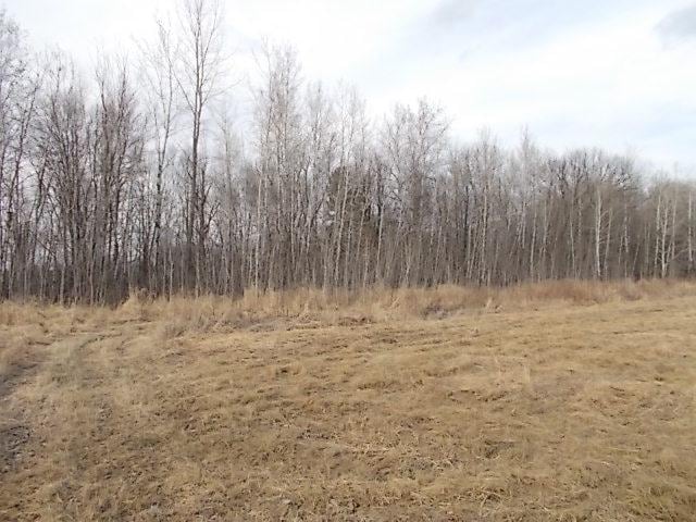 18983 Alabaster Rd, Chengwatana Twp, MN 55063 - photo 49
