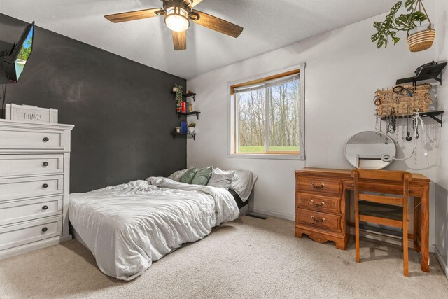 18983 Alabaster Rd, Chengwatana Twp, MN 55063 - photo 30