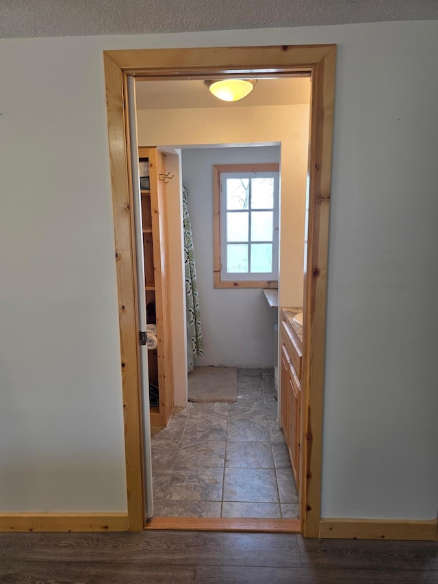 bathroom featuring wood finished floors and vanity