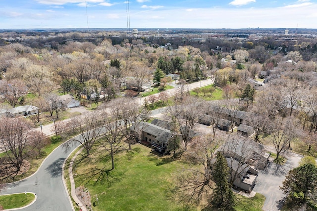 bird's eye view