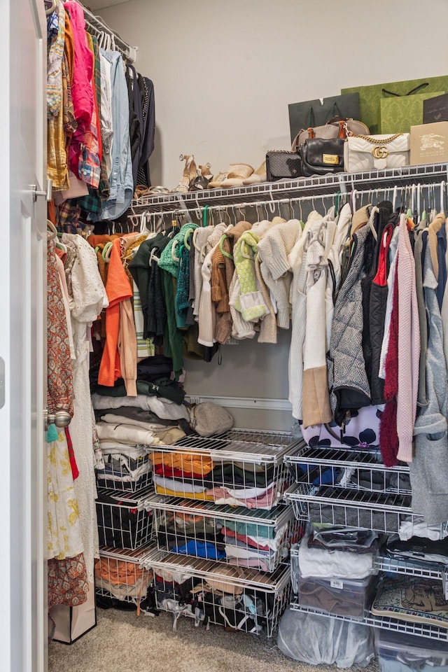 7393 Emily Cir, Lino Lakes, MN 55038 - view of walk in closet