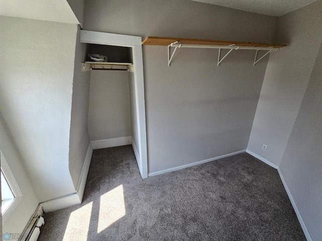 interior space featuring carpet