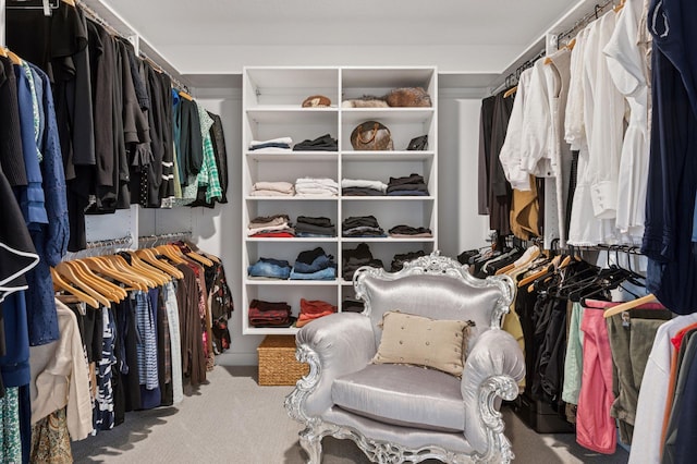 spacious closet featuring carpet flooring