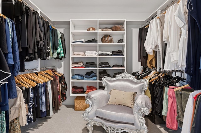 2301 Simply Living Ln, Hudson, WI 54016 - walk in closet featuring carpet floors