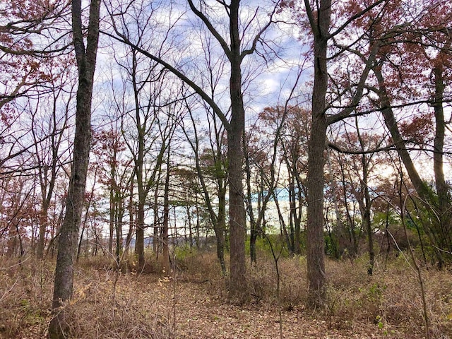 XX2 County Road 37, Saint Charles Twp, MN 55972
