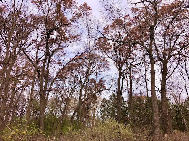 XX2 County Road 37, Saint Charles Twp, MN 55972
