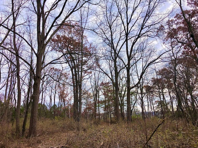 XX2 County Road 37, Saint Charles Twp, MN 55972