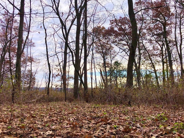 XX2 County Road 37, Saint Charles Twp, MN 55972