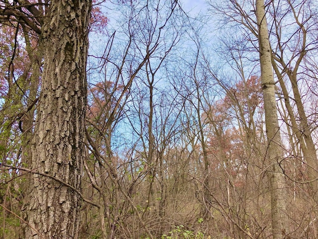 XX2 County Road 37, Saint Charles Twp, MN 55972