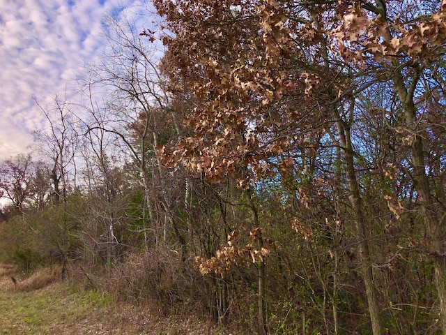 XX2 County Road 37, Saint Charles Twp, MN 55972