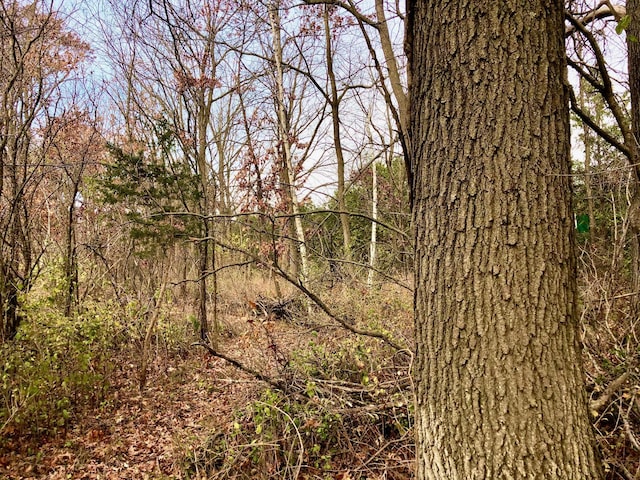XX2 County Road 37, Saint Charles Twp, MN 55972