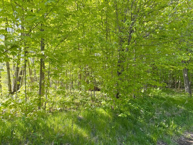 18134 Marina Way, Garrison, MN 56450 - photo 46