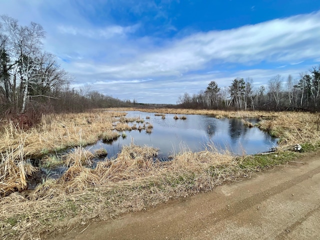 4248 Pillager Creek Dr SW, Pillager, MN 56473 - photo 2