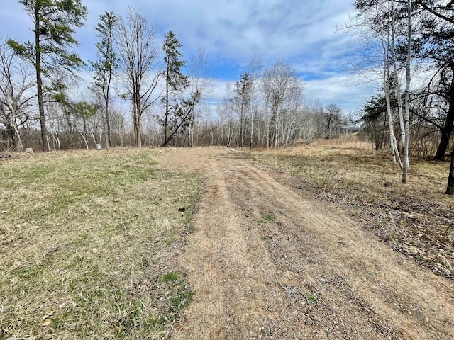 4248 Pillager Creek Dr SW, Pillager, MN 56473 - photo 6