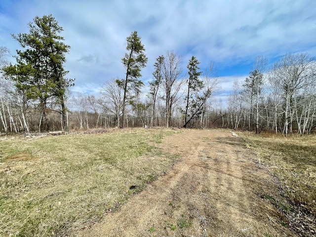 4248 Pillager Creek Dr SW, Pillager, MN 56473 - photo 7