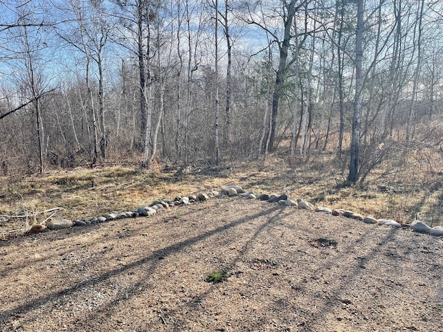 4248 Pillager Creek Dr SW, Pillager, MN 56473 - photo 8