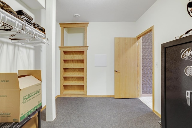 562 Hillside Dr, Prescott, WI 54021 - spacious closet featuring carpet flooring