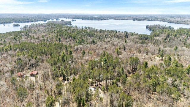 12957 Ridge Rd, Fall Lake Twp, MN 55731 - photo 39