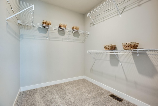 14234 Empire Ln N, Dayton, MN 55327 - walk in closet with carpet floors