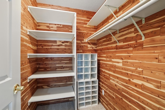 5541 70th St, Edina, MN 55439 - walk in closet featuring carpet