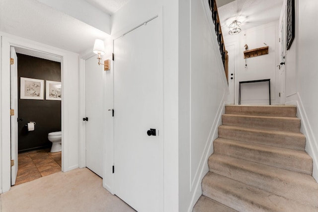 stairs featuring carpet flooring