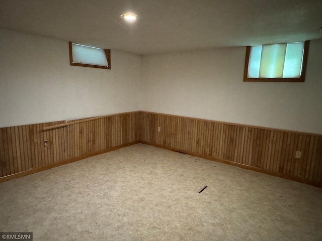 below grade area featuring wainscoting, wooden walls, and carpet flooring