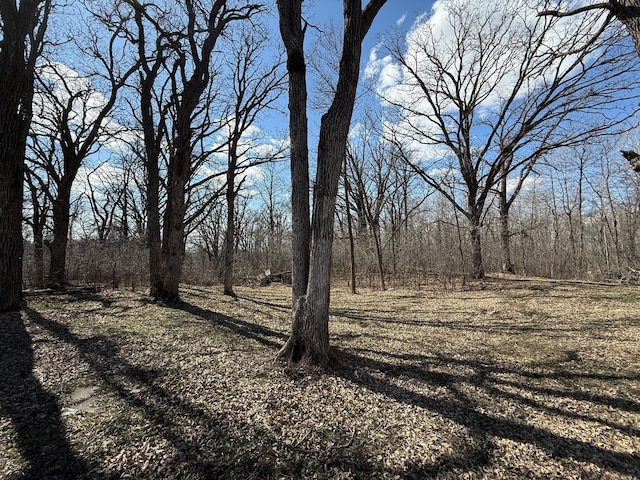 view of landscape with a wooded view