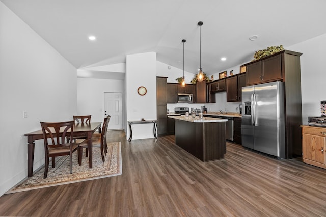 kitchen with dark wood-style flooring, stainless steel appliances, and dark brown cabinets