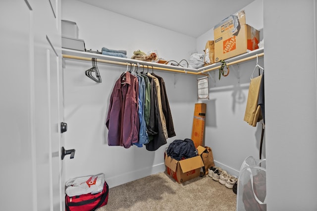 spacious closet with carpet