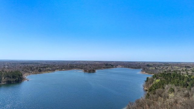 34470 Spruce Ln, Pequot Lakes, MN 56472 - water view with a heavily wooded area