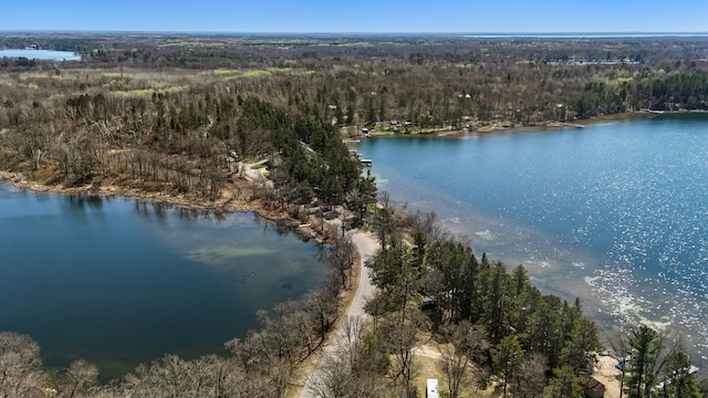 34470 Spruce Ln, Pequot Lakes, MN 56472 - view of property location featuring a forest and a nearby body of water