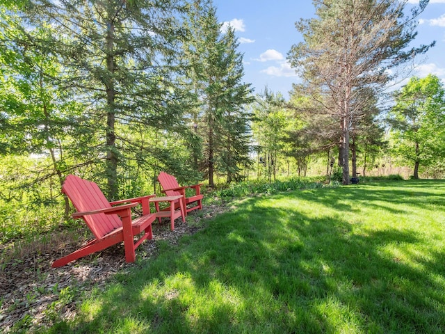491 Old Glory Dr NE, Alexandria Twp, MN 56308 - photo 5