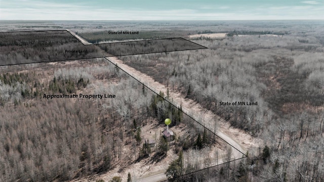 8494 Peary Junction Rd, Kelsey, MN 55724 - aerial view of sparsely populated area featuring property parcel outlined