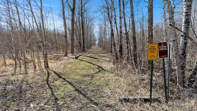 8494 Peary Junction Rd, Kelsey, MN 55724 - view of local wilderness