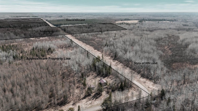 8494 Peary Junction Rd, Kelsey, MN 55724 - view of rural area with property parcel outlined