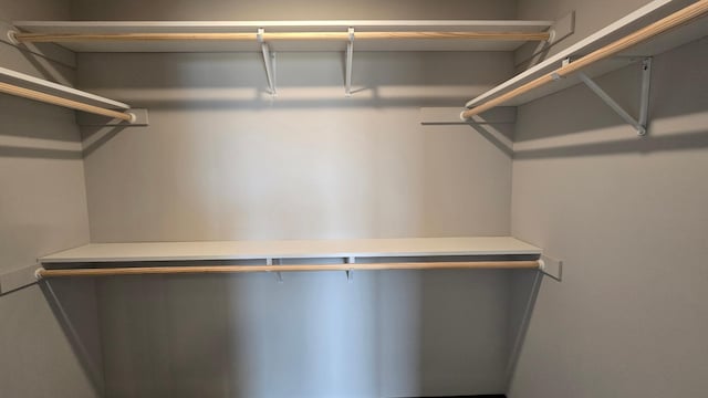 9972 14th Cir NE, Saint Michael, MN 55376 - view of walk in closet