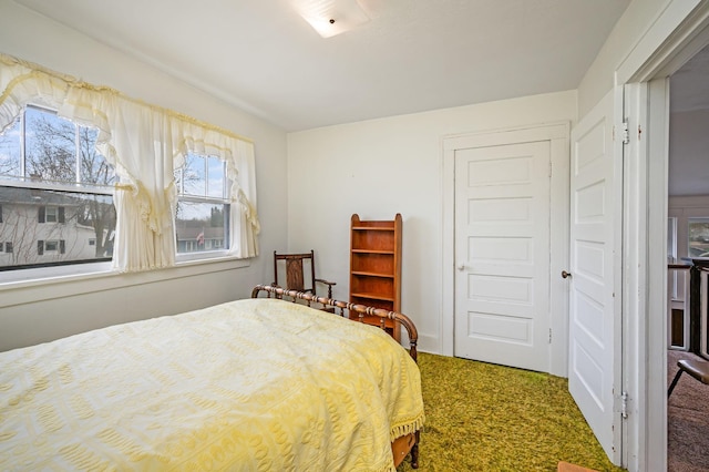 bedroom with carpet flooring