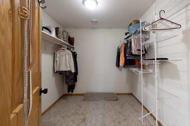 walk in closet with carpet flooring