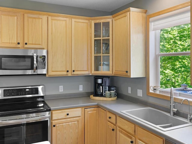 kitchen featuring stainless steel appliances, a sink, light brown cabinetry, and glass insert cabinets