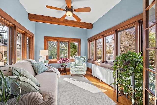 sunroom / solarium featuring a healthy amount of sunlight, radiator, and wood finished floors
