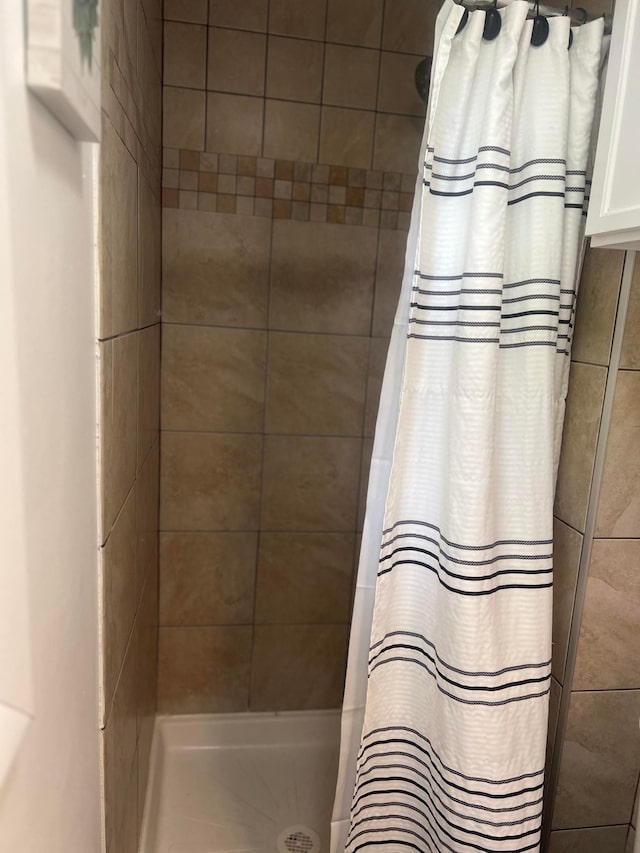321 Meredith Rd, Albert Lea, MN 56007 - bathroom with a stall shower