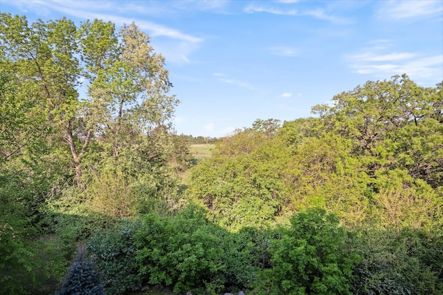 15601 Lilac Dr, Eden Prairie, MN 55347 - view of tree filled area