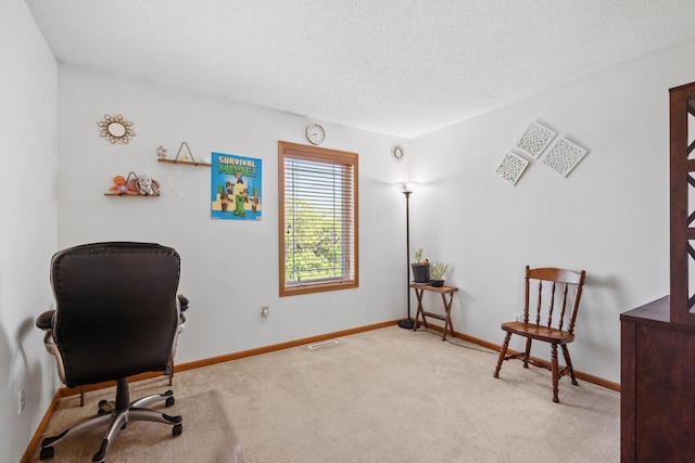 15601 Lilac Dr, Eden Prairie, MN 55347 - office with carpet, a textured ceiling, and baseboards