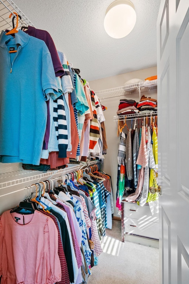 15601 Lilac Dr, Eden Prairie, MN 55347 - spacious closet with carpet flooring